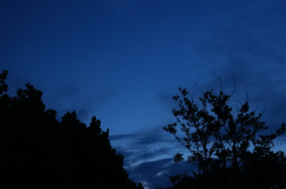 How Can Thermal Imaging Sensor Modules Help in Outdoor Night Vision