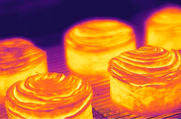 What Does A Thermal Infrared Camera Do?