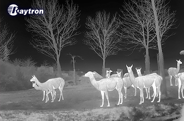 How Do Infrared Thermal Sensors Enable Fast, Reliable Thermal Imaging?