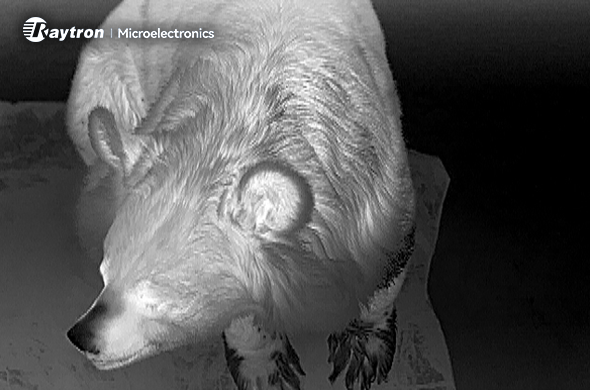 Top 3 Advantages of Thermal Modules for Wildlife Observation and Conservation